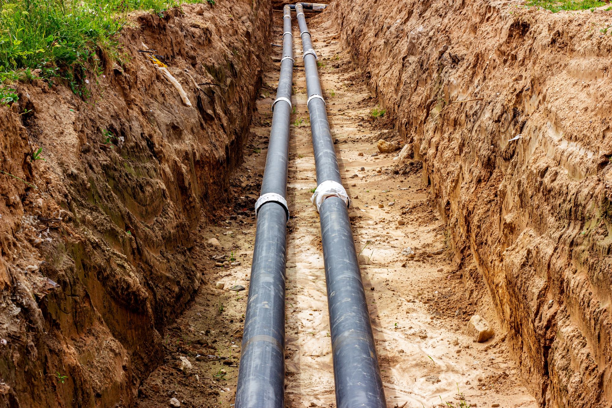 7 Signs You May Need Sewer Line Repair